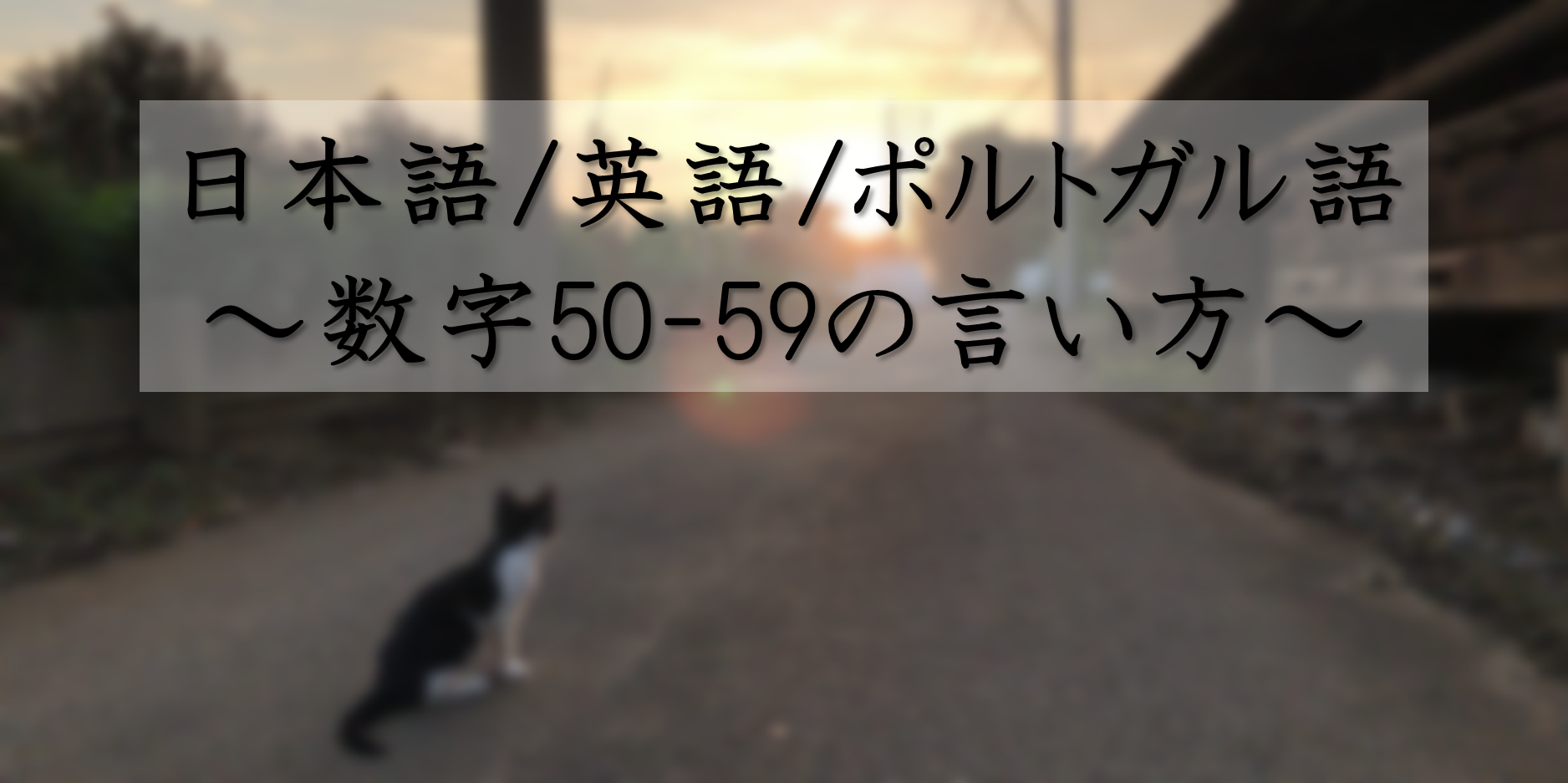数字50 59 日本語 英語 ブラジルポルトガル語 猫press 数字50 59 日本語 英語 ブラジルポルトガル語 猫press
